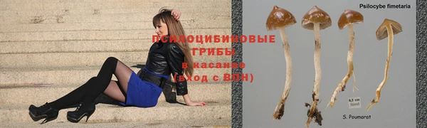 гидра Армянск