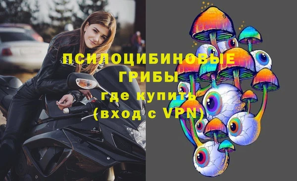гидра Аркадак