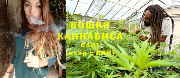 гидра Аркадак